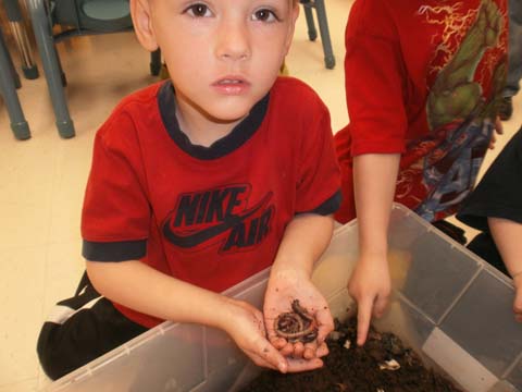 Children holding soil over a bin the classroom