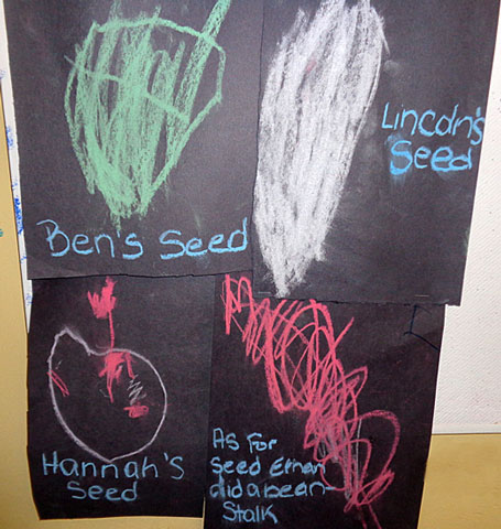 Drawings of seeds by children