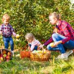 mom and children picking apples in the orchard