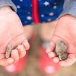 Child holding small rocks