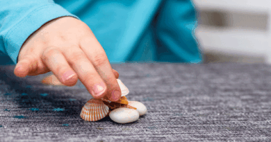 Child collecting seashells