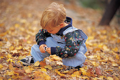 child looking at leaves