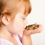 Środowisko naturalne w Stanie Illinois: Żaby i ropuchy