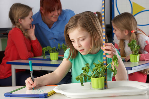 child measuring a plant