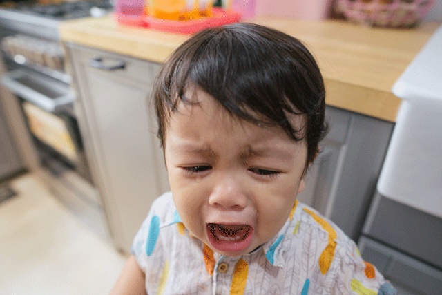 Toddlers and Tantrums