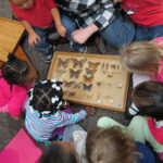Discovering the World of Insects on the Playground